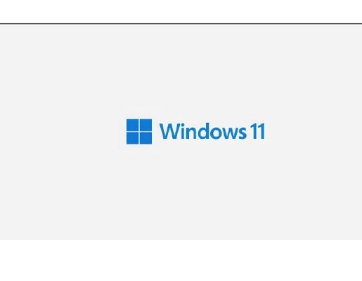 Стикер Coa X 21 ключа лицензии Windows 11 ПК Pro с ключом продукта выигрыша 11 Hologram