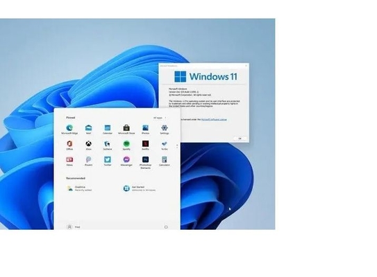 Ключ активации Microsoft Windows 11 со стикером Coa выигрыша 11 Hologram